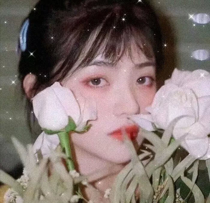 一见又倾心